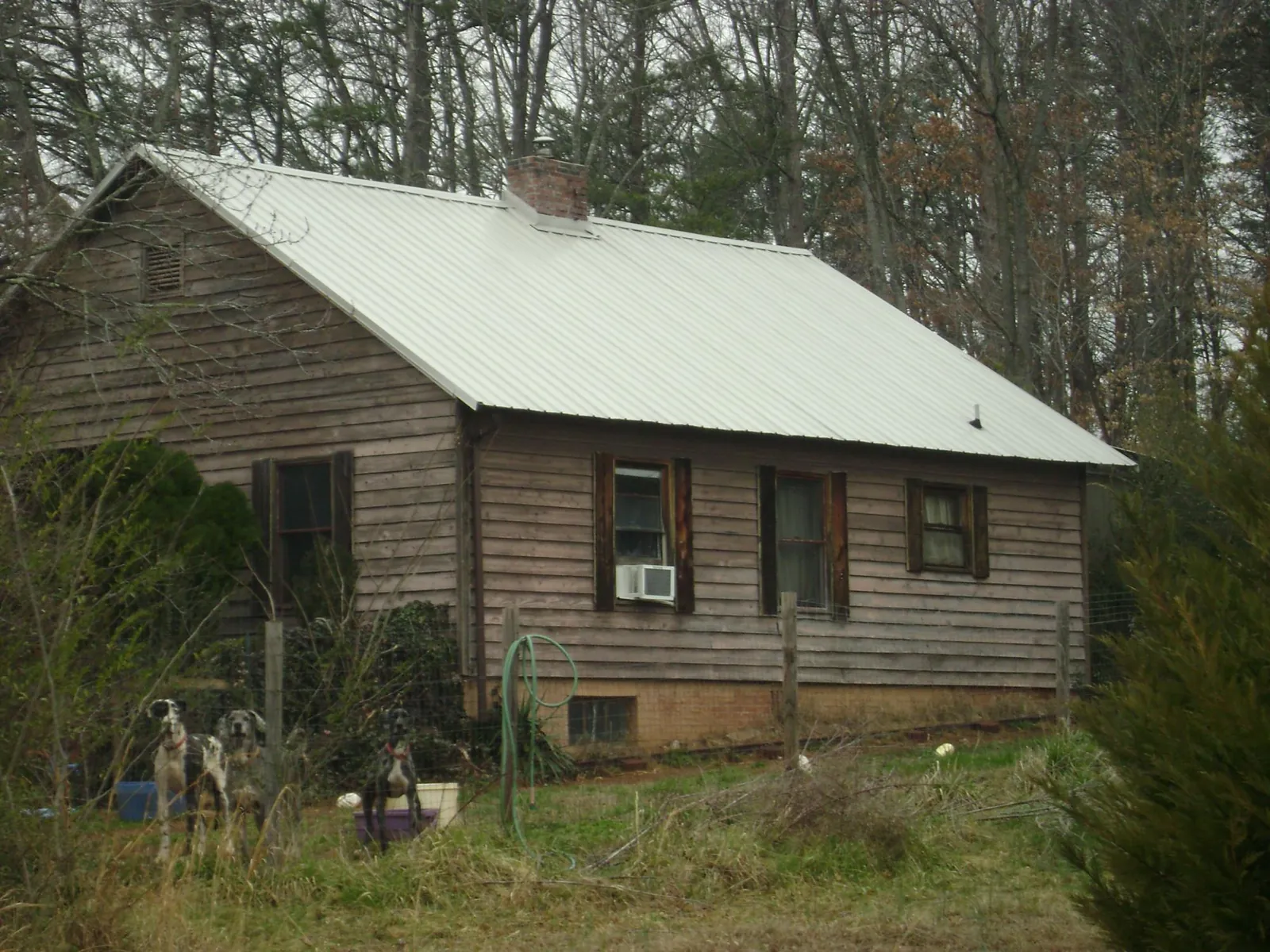White metal roof on an old wood sided farmhouse, from a Asphalt Shingle Roof Repair job in Orgas